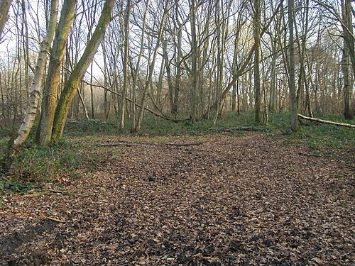 Moorend Common